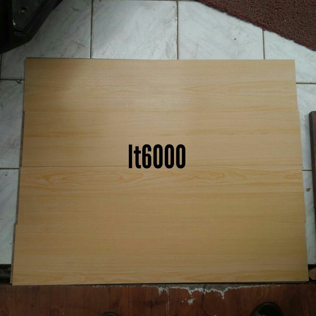 LT 6000
