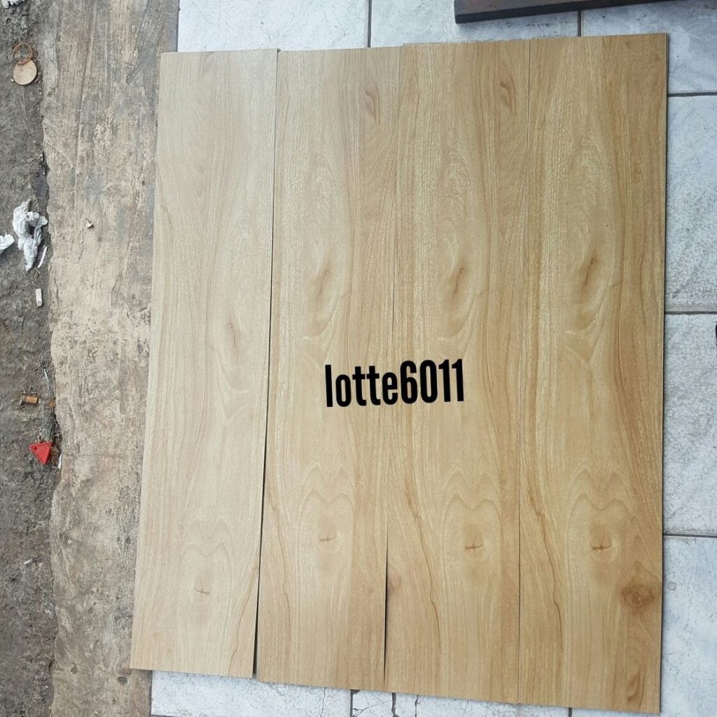 LT 6011