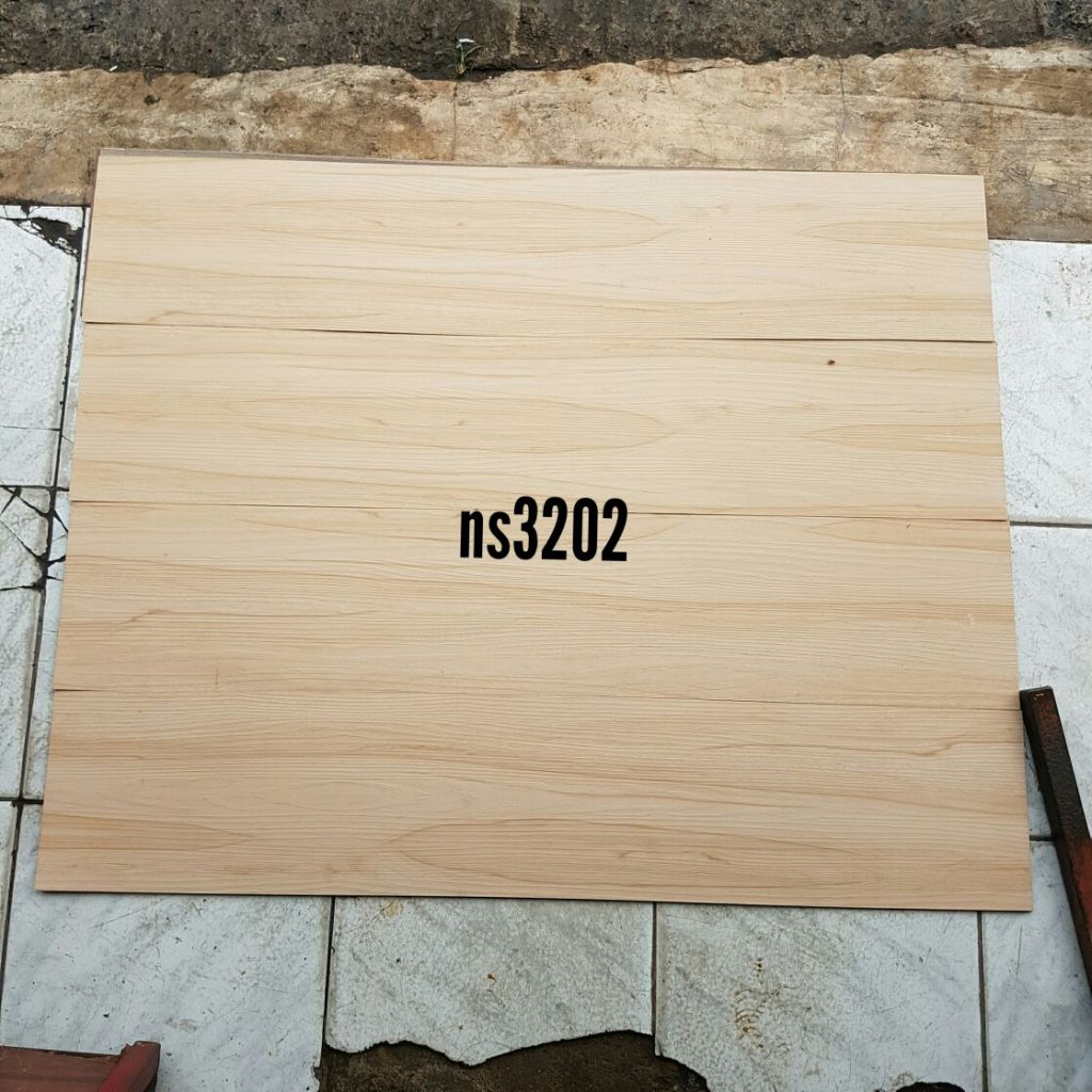 NS 3202